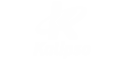 kalipso-logo-branco-transparente